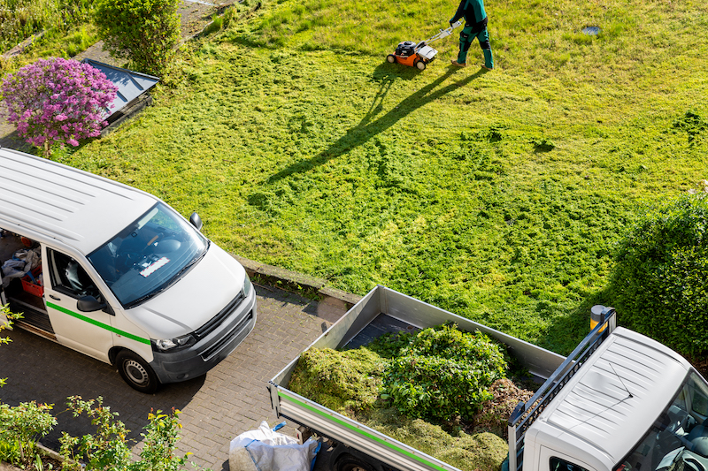 Venta de Servicios de Jardineria Descubre los Secretos para el Crecimiento Local featured_image